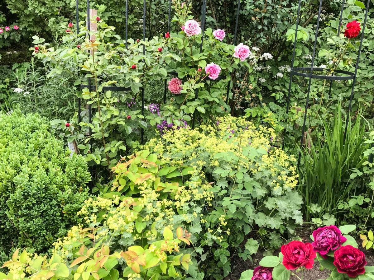 Gartenhaus Frieda Galmsbull المظهر الخارجي الصورة